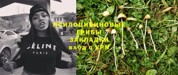 2c-b Богородицк
