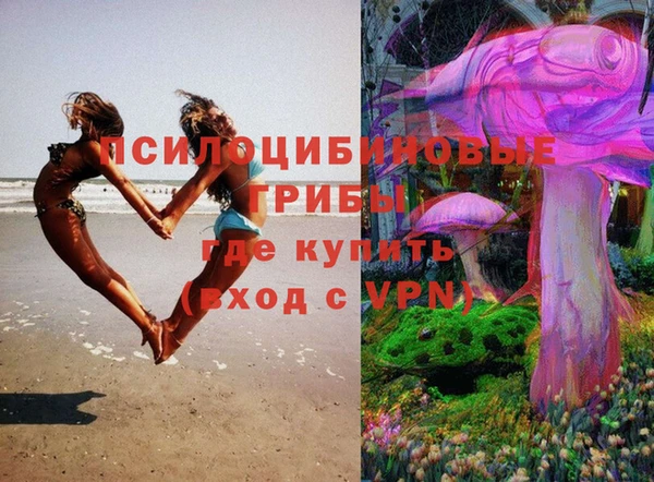 спиды Богородск