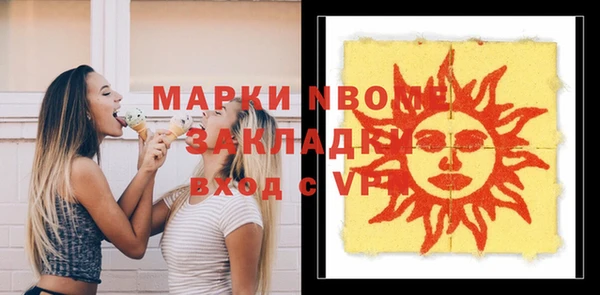 молекула духа Богданович