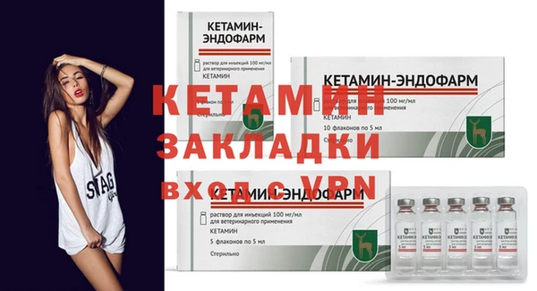 молекула духа Богданович