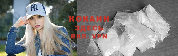 хмурый Няндома