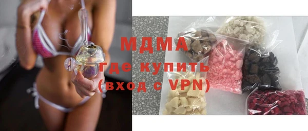 молекула духа Богданович