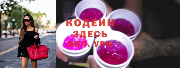 молекула духа Богданович