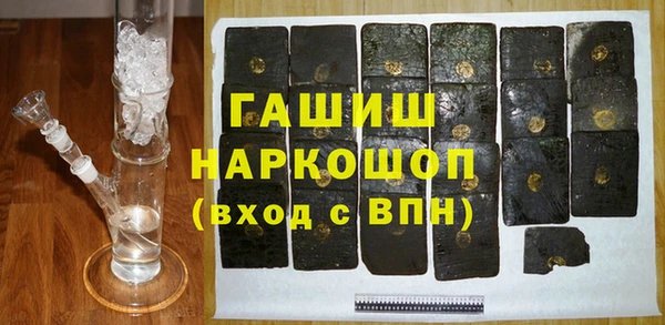 молекула духа Богданович