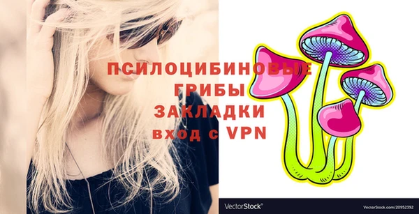 2c-b Богородицк
