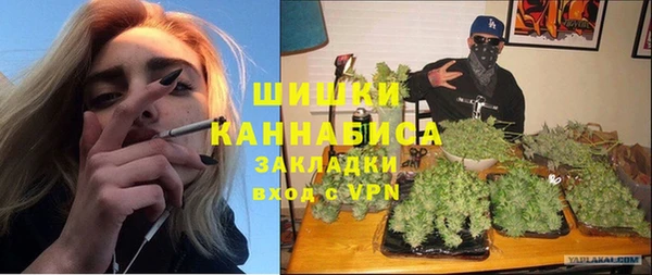 молекула духа Богданович