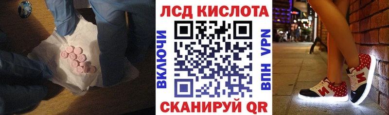 блэк спрут ссылки  Петровск  ЛСД экстази кислота 