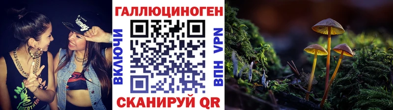 Галлюциногенные грибы Psilocybine cubensis  Петровск 